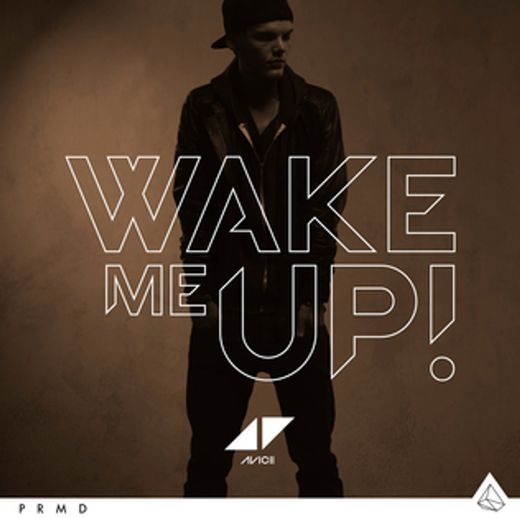 Avicii - Wake Me Up ft. Aloe Blacc (mashup music video)