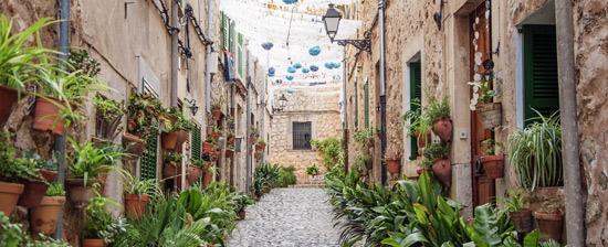 Place Valldemosa