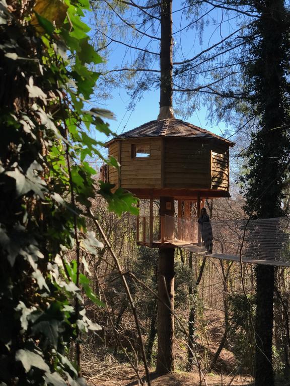 Place Cabanes als arbres