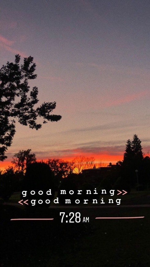 Morning