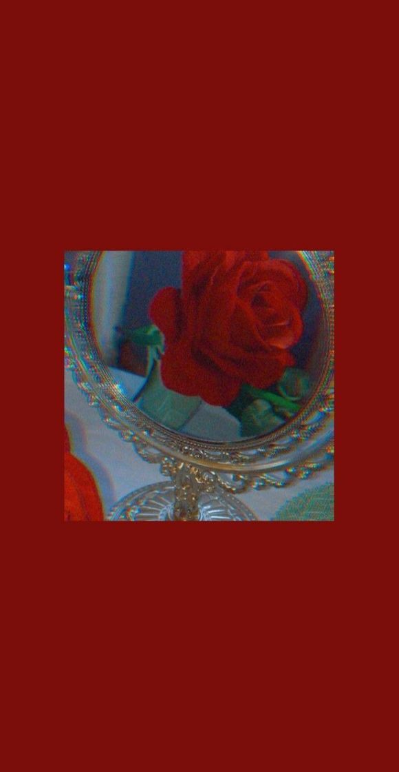 Social 🌹