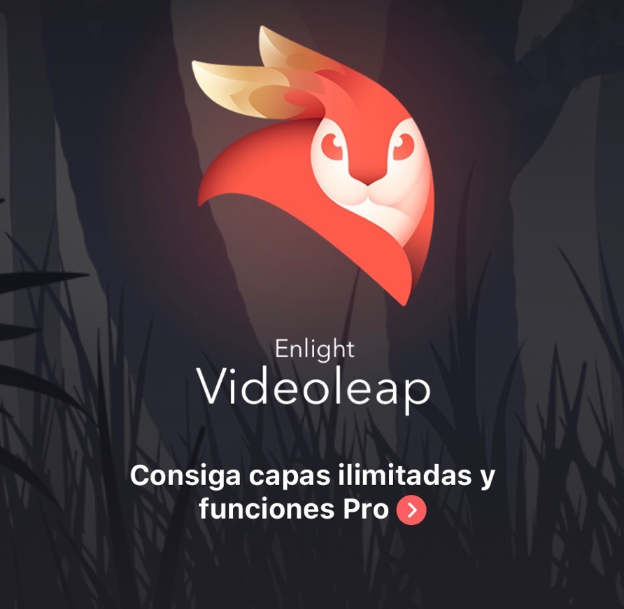 Aplicaciones Videoleap