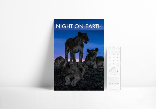 La Tierra de noche