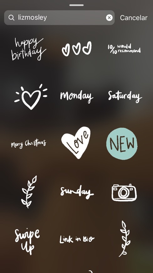 Social Gifs tumblr ✨