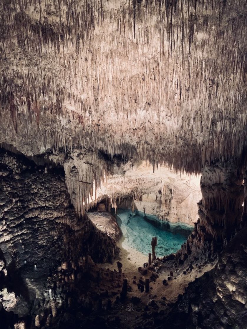 Places Cuevas del Drach (Mallorca)