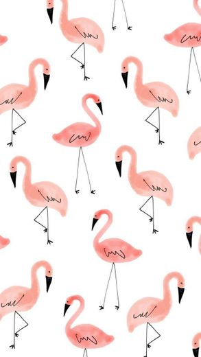Flamingos 🌸