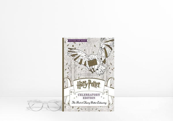 Harry Potter (film series)