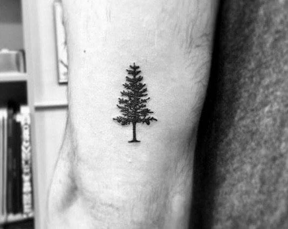 Tattoo árvore