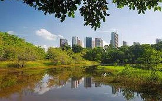 Lugar Parque Estadual do Rio Cocó