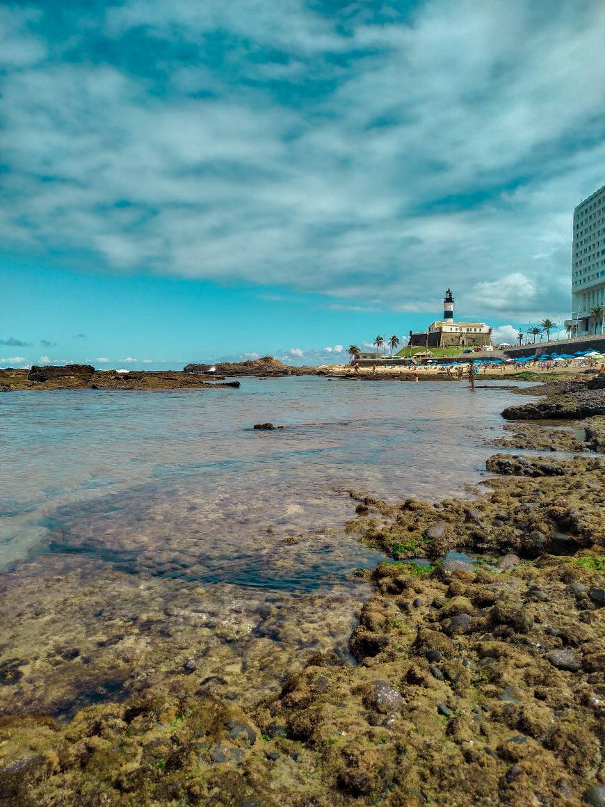 Lugar Farol da Barra