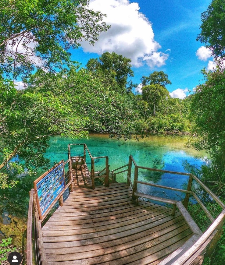 Place Recanto Ecológico Rio da Prata - Flutuação em Bonito, MS