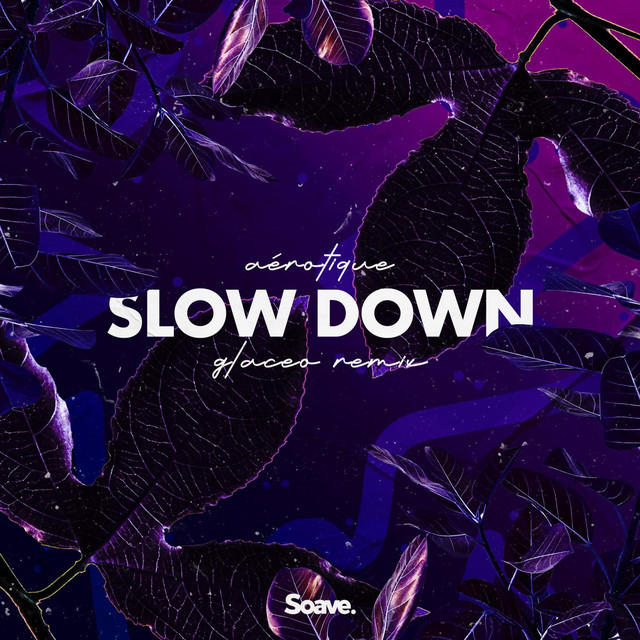 Music Slow Down (Glaceo Remix)