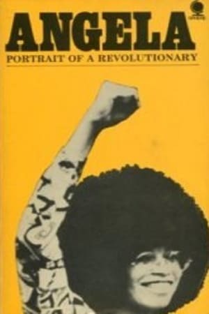 Película Angela Davis: Portrait of a Revolutionary