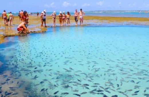 Porto de Galinhas - PE