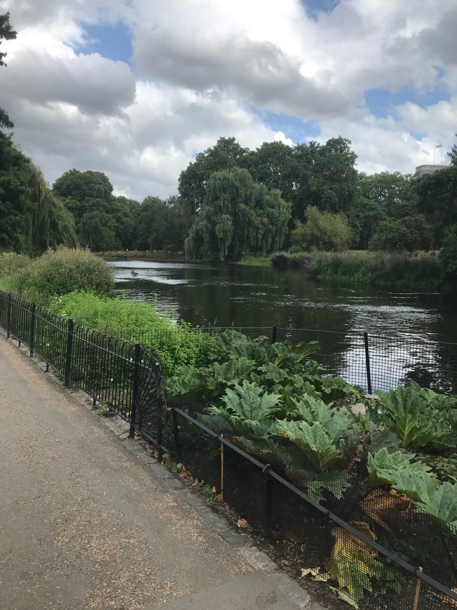 Lugar St. James's Park