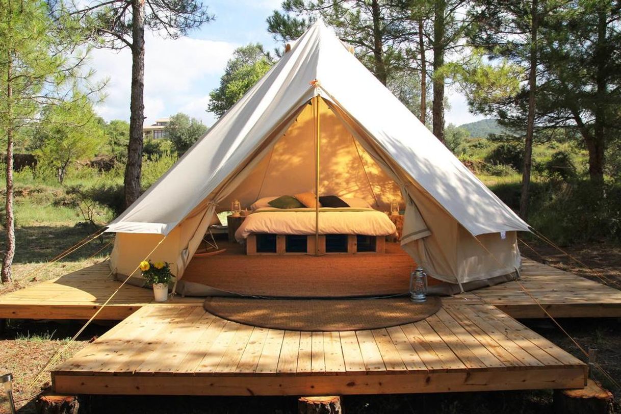 Place Forest Days Glamping