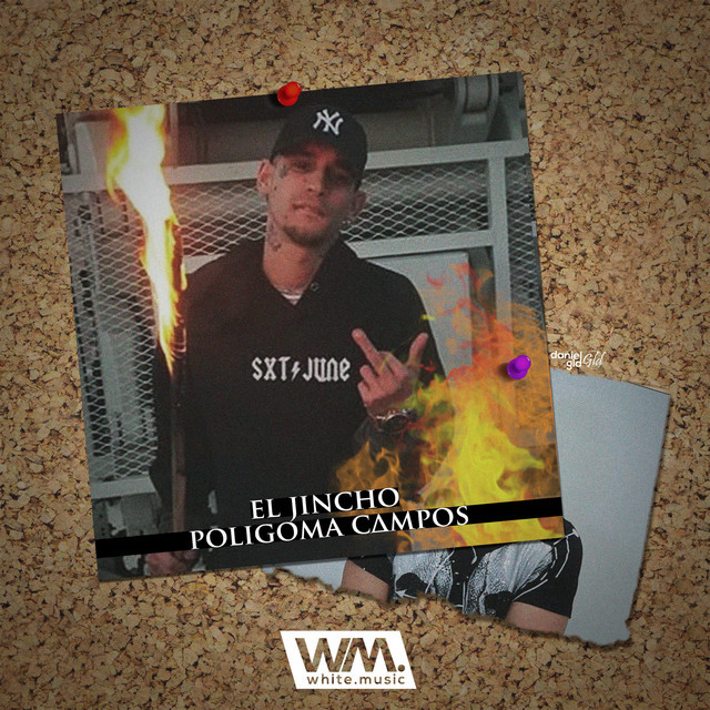 Music Poligoma Campos