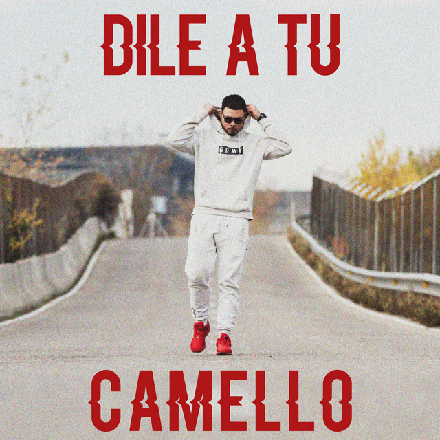 Music Dile a tu camello
