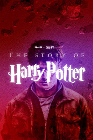 Movie The Story of Harry Potter