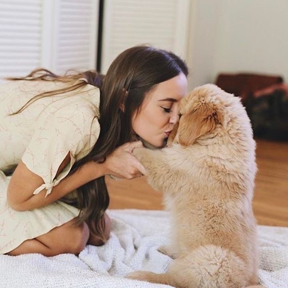 Social Animais