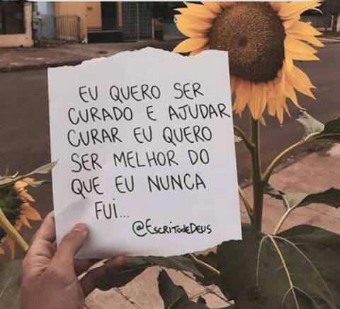 Canción Girassol🌻