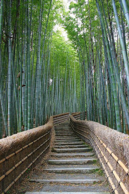 Place Arashiyama