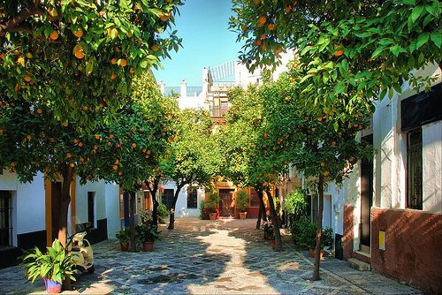 Place Barrio de Santa Cruz