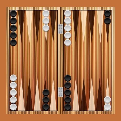 Classic BackGammon Board Game