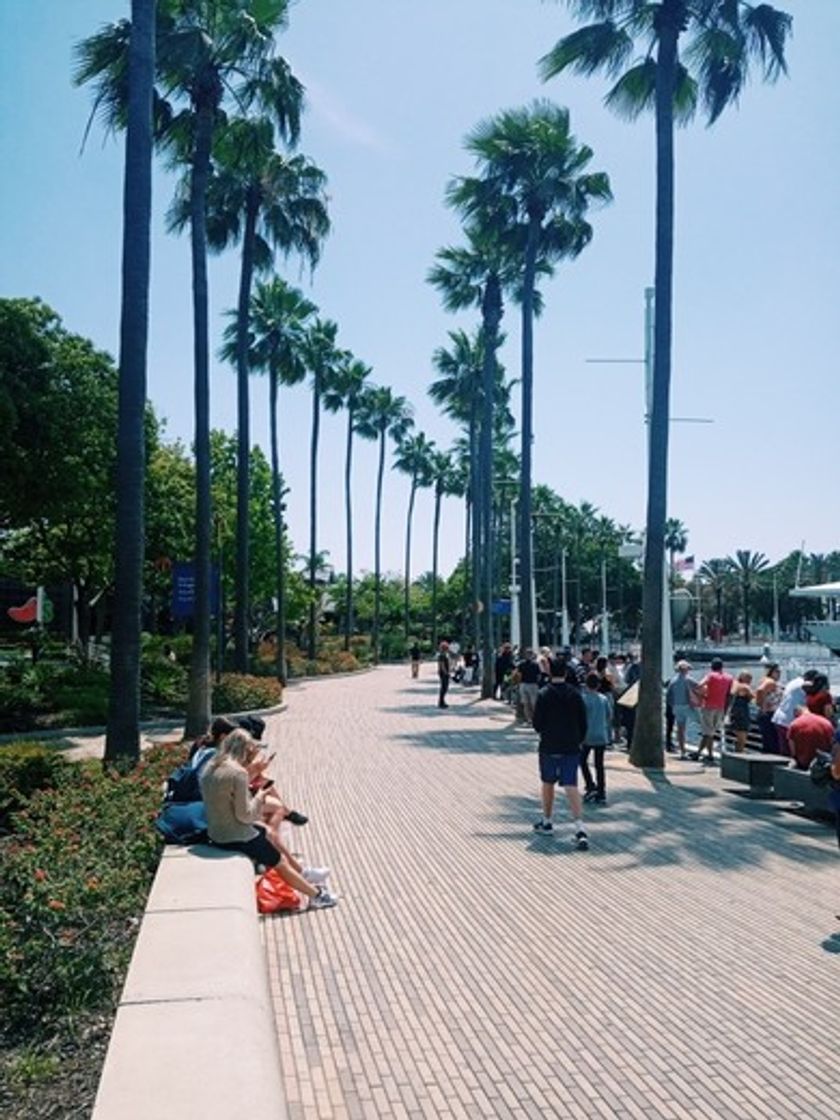 Place Long Beach