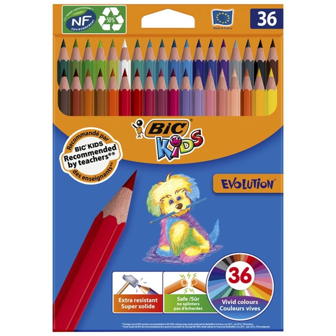 Social Lápices Colorear Evolution Bic Caja De 36 Unidades · Papelería