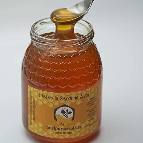 Miel de la Sierra de Ávila Envasada Directamente de Apicultor