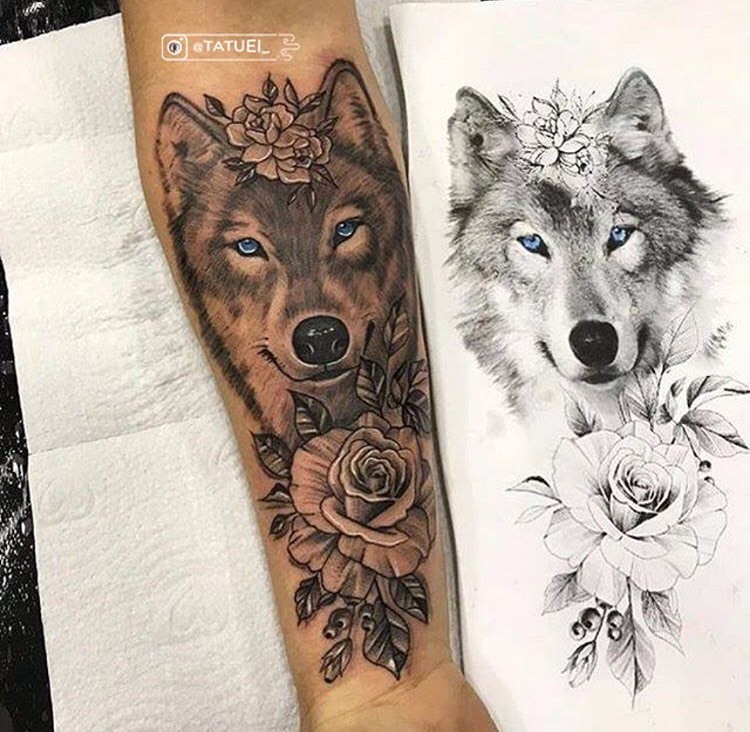 Social 🐺 