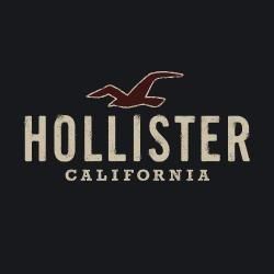 Hollister Co