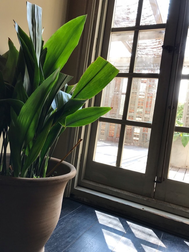 Restaurants Restaurante La Rambla