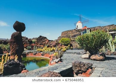 Place Jardín de Cactus de Lanzarote