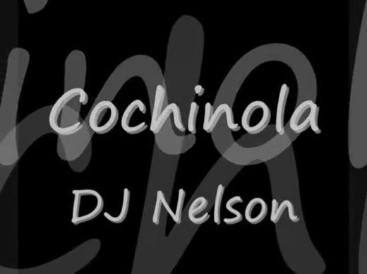 Cochinola- Dj Nelson (Lyrics) - YouTube