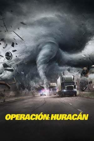 The Hurricane Heist