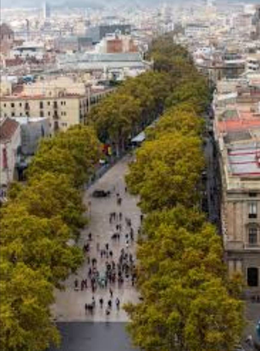 Place La Rambla