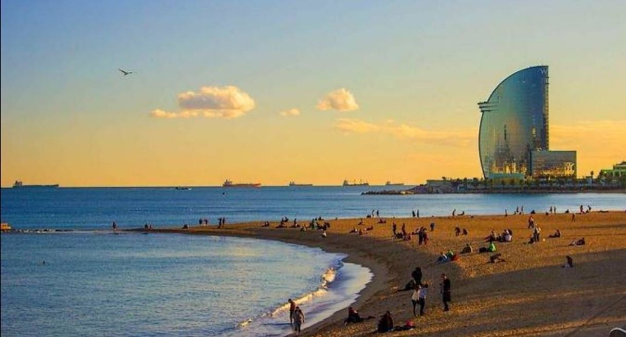 Lugar Playa De La Barceloneta