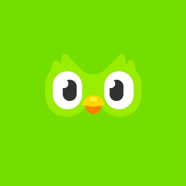 App Duolingo- Language Lessons 💚