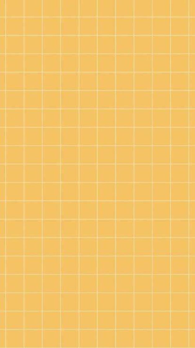 Fashion Grid 💛