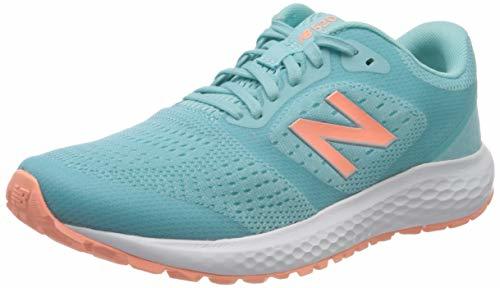 Productos New Balance 520v6