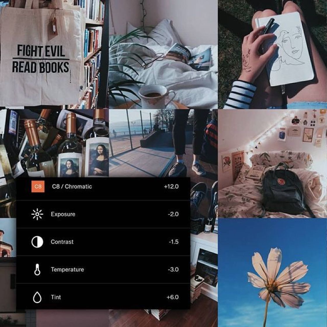 Filtro vsco