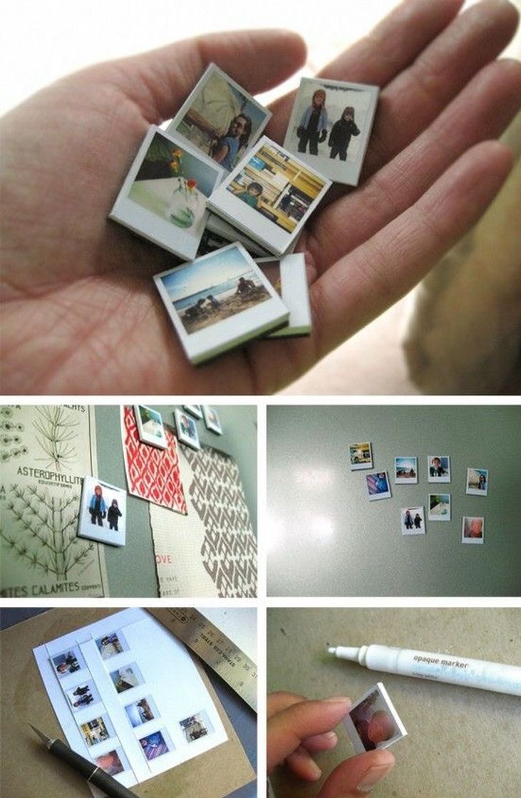 Fotografias 📷