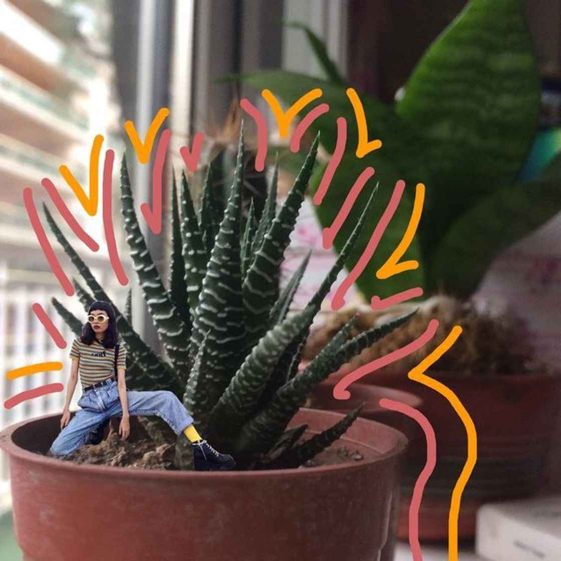 Planta🌱