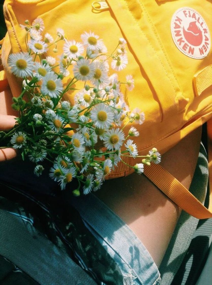 Florzinha🌼