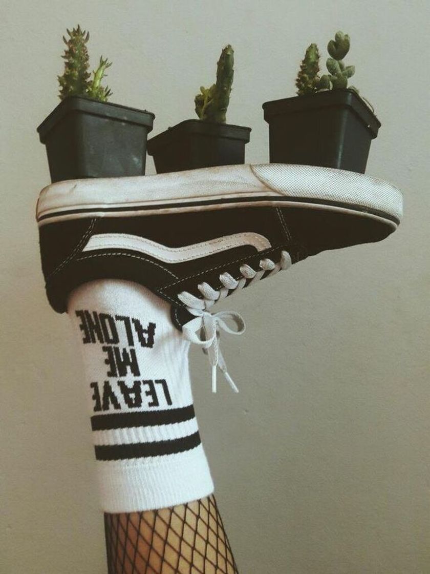 Cactos🌵