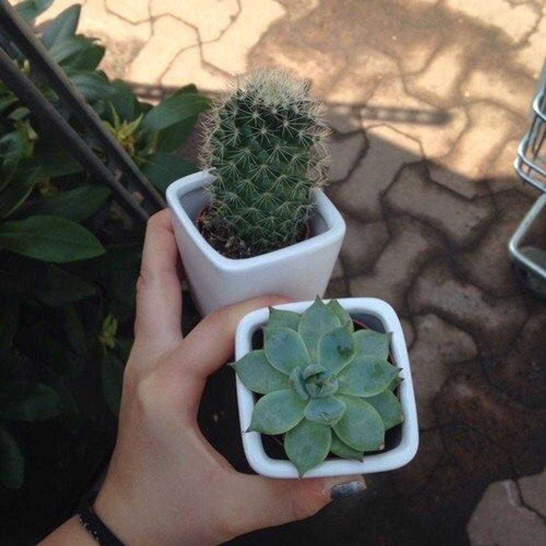 🌻