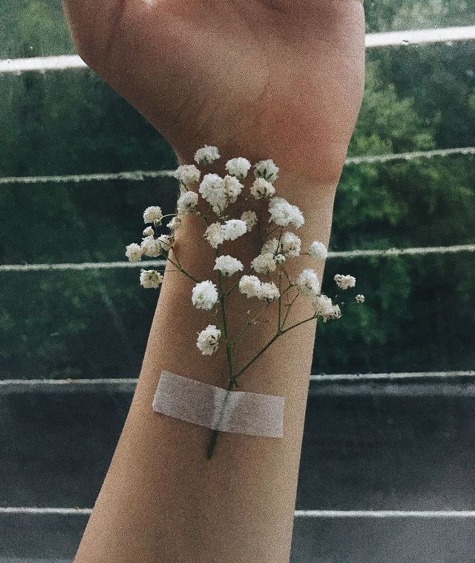 🌱