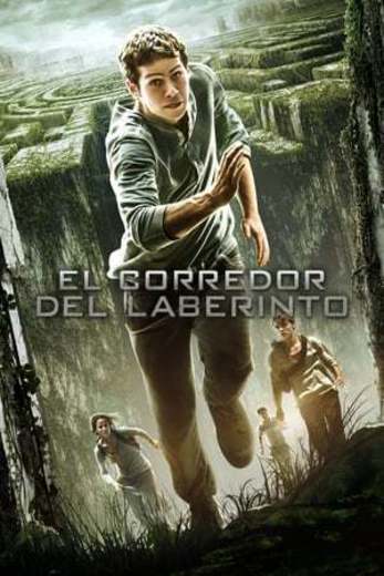 The Maze Runner